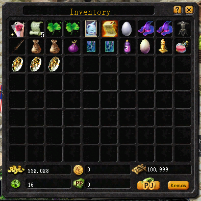 Bigger Inventory